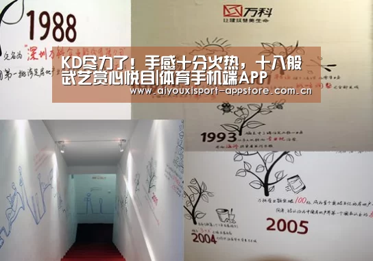 体育手机端APP