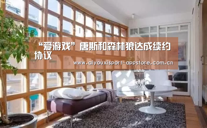 爱游戏