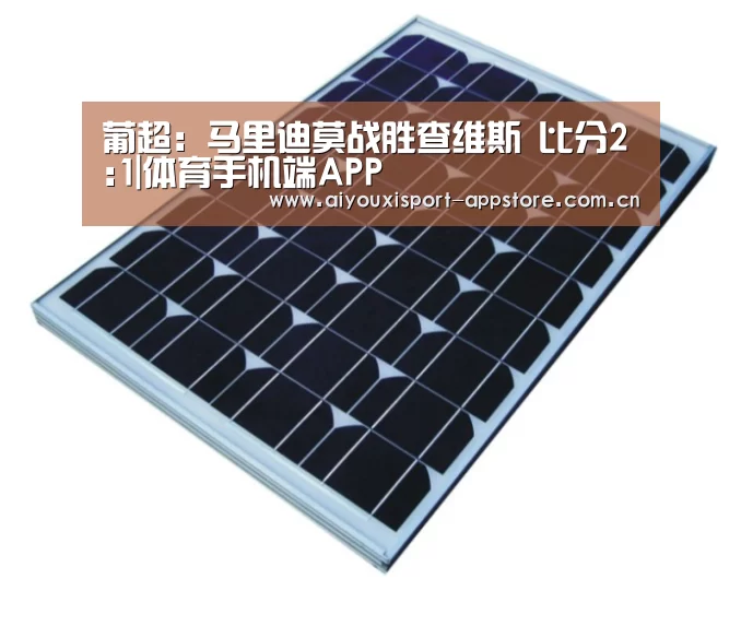 体育手机端APP