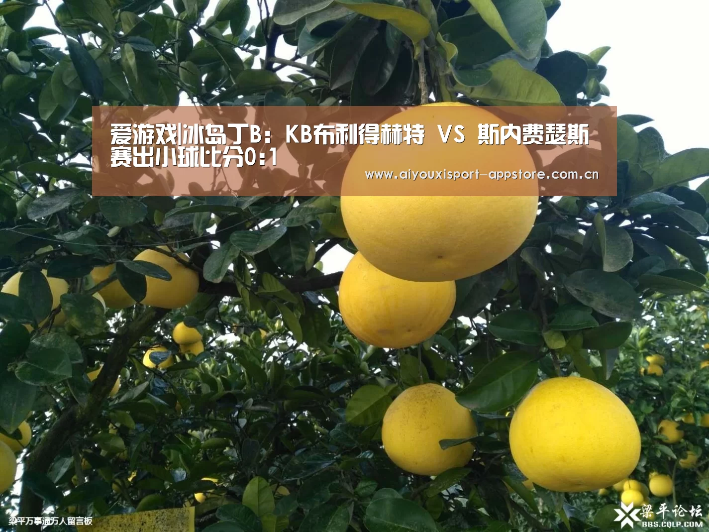 爱游戏|冰岛丁B: KB布利得赫特 VS 斯内费瑟斯赛出小球比分0:1(图1)